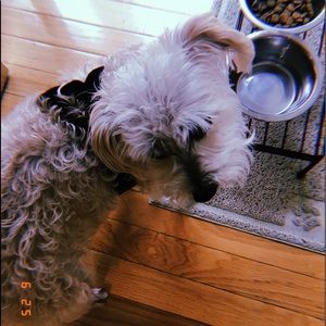 Meet your Posher, Zaina